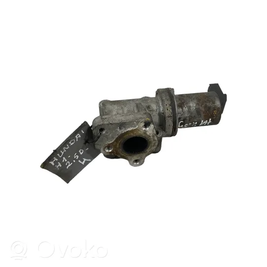 Hyundai H-1, Starex, Satellite EGR valve 284104A470