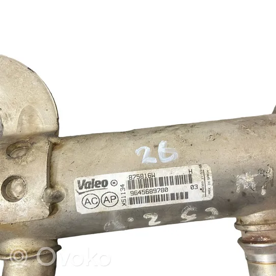 Citroen C5 EGR-venttiili/lauhdutin 9645689780