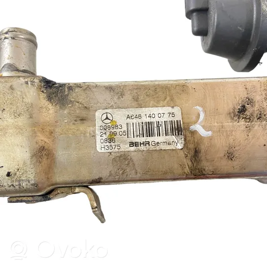 Mercedes-Benz E W211 EGR aušintuvas A6461400775