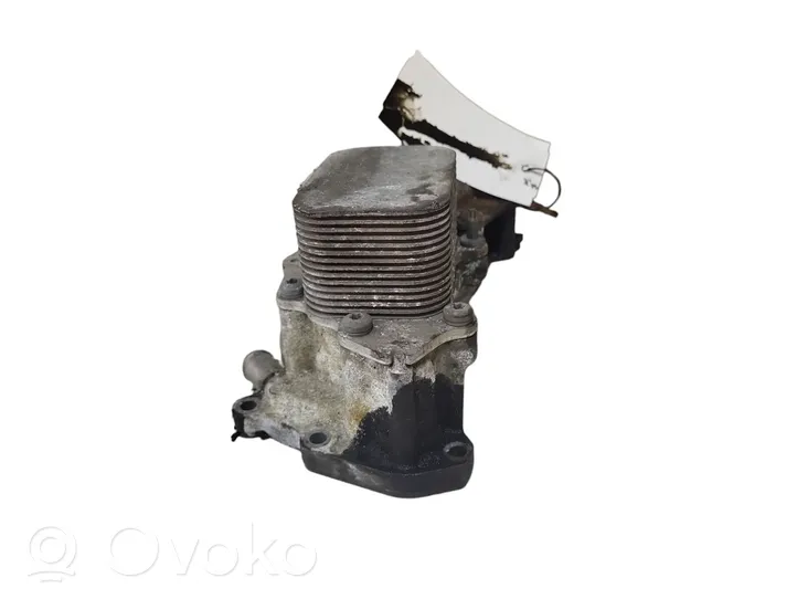 Citroen C4 II Supporto di montaggio del filtro dell’olio 9687847480