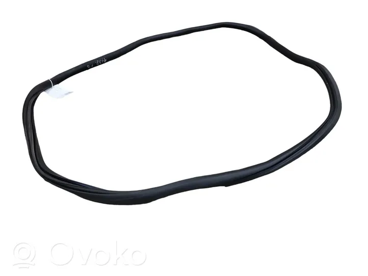 Renault Megane III Rear door rubber seal (on body) 9677854480