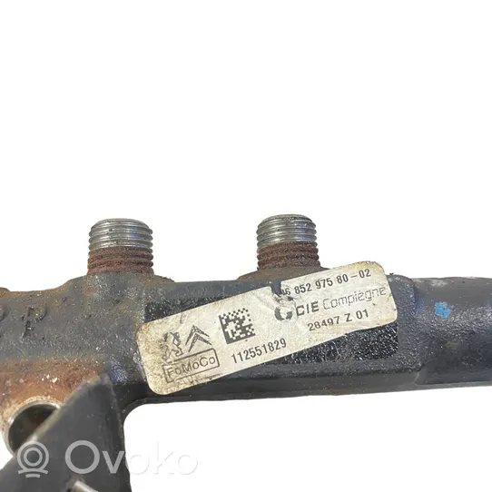 Ford Fiesta Fuel main line pipe 9685297580