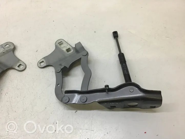 Alfa Romeo Stelvio Cerniere del vano motore/cofano 00505354500