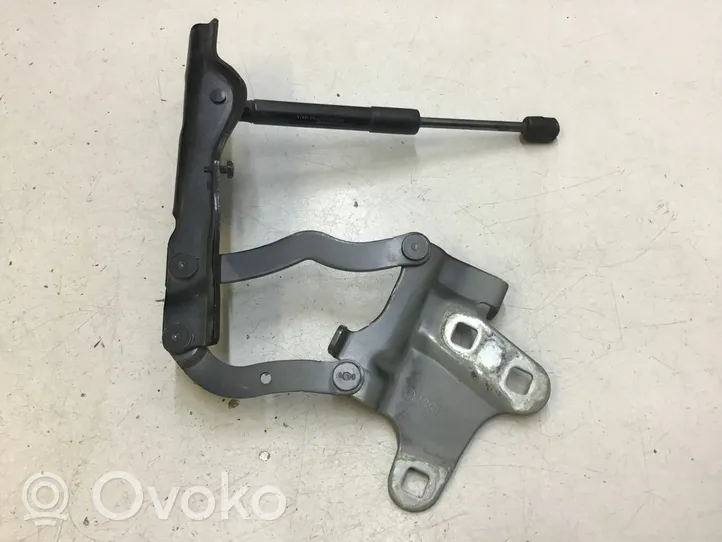 Alfa Romeo Stelvio Cerniere del vano motore/cofano 00505354500