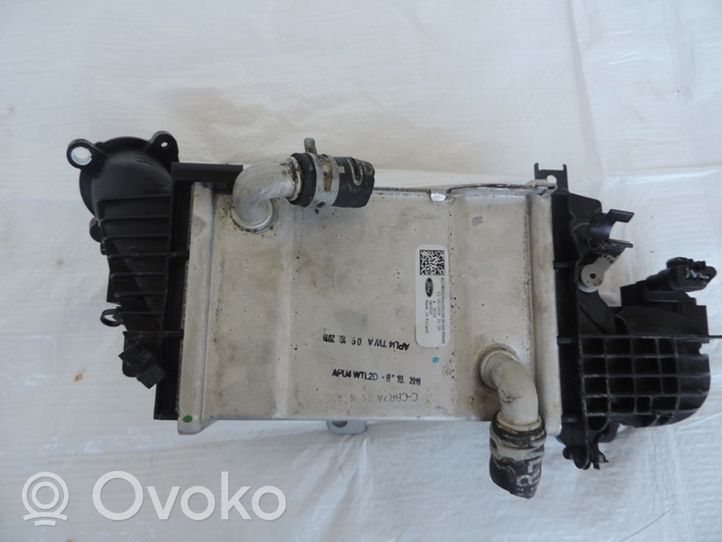 Ford Focus Chłodnica powietrza doładowującego / Intercooler JN1Q6C896AC