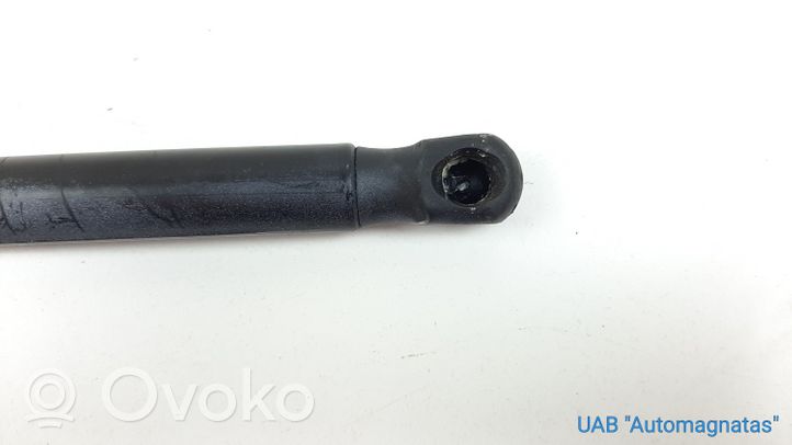 Volkswagen PASSAT CC Tailgate/trunk strut/damper 3C8823359