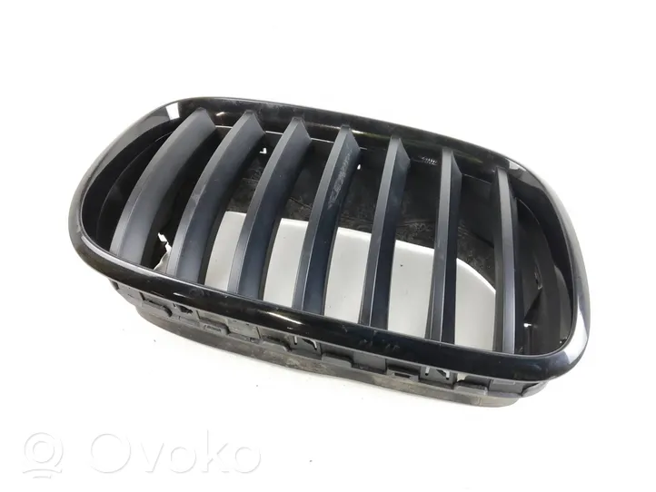 BMW X6 E71 Front grill 7171396