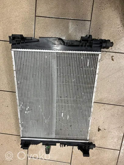 Renault Zoe Radiateur de refroidissement 214104950R