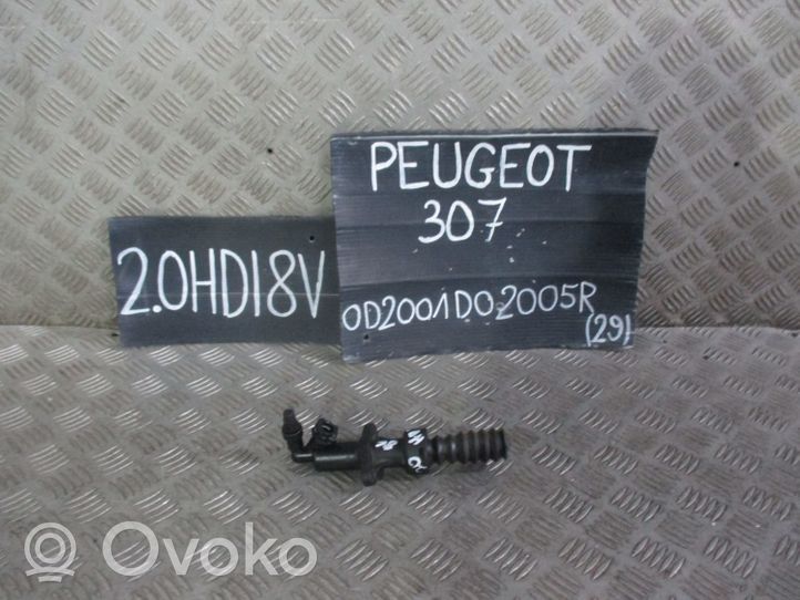 Peugeot 307 Butée, récepteur d'embrayage 