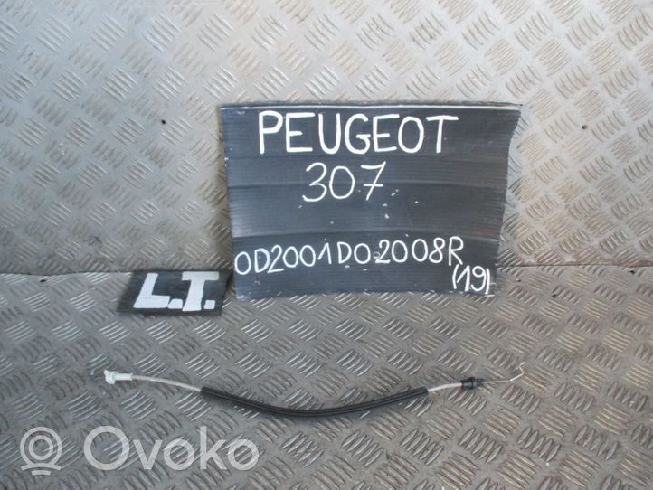 Peugeot 307 Takaoven vaijeri 