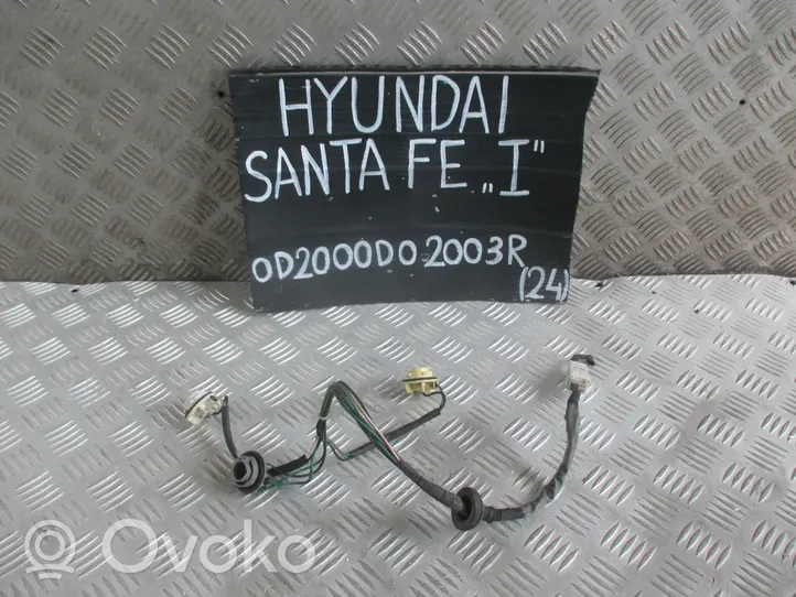 Hyundai Santa Fe Aizmugures spuldzes vāka turētājs 