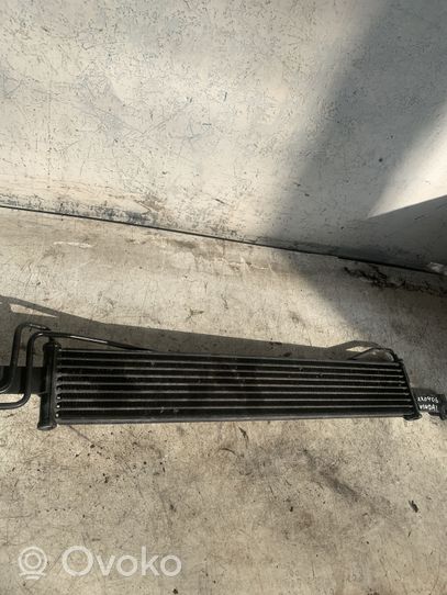 Hyundai Santa Fe Fuel cooler (radiator) 