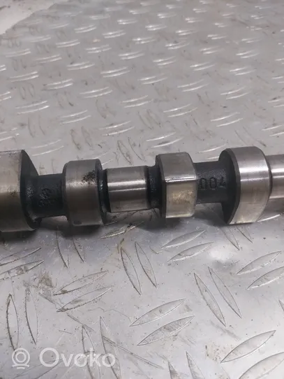 Volkswagen Sharan Camshaft WTR9