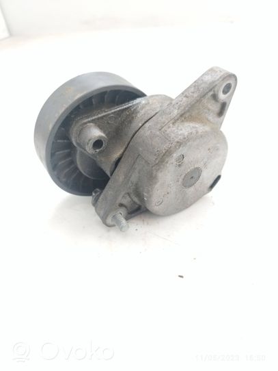 Mercedes-Benz S W220 Napinacz paska alternatora A1122000370