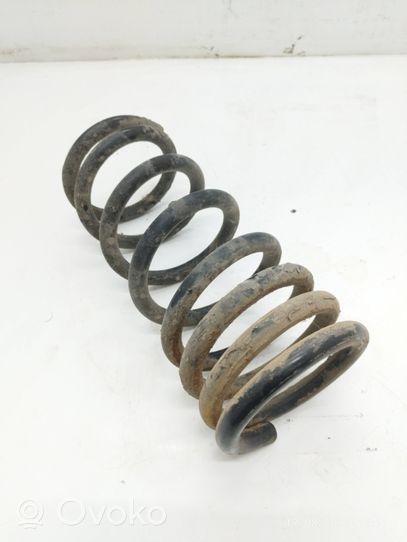 KIA Sedona Rear coil spring 