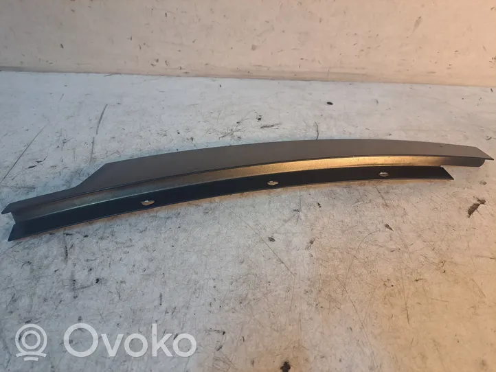 BMW 5 E60 E61 Front door trim (molding) 