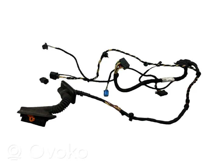 Volkswagen PASSAT CC Rear door wiring loom 3C8971693CM