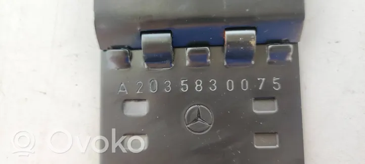 Mercedes-Benz E W211 Kita salono detalė A2035830075