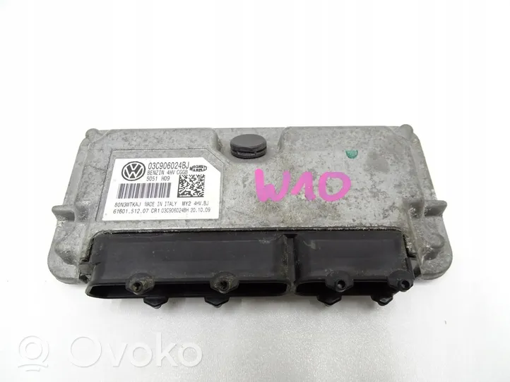 Volkswagen Polo V 6R Galios (ECU) modulis 03C906024BJ