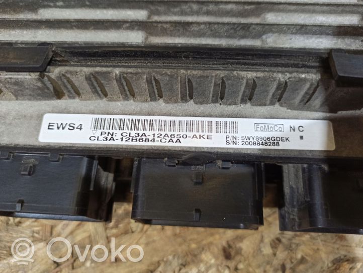 Ford F150 Variklio valdymo blokas CL3A12B684CAA