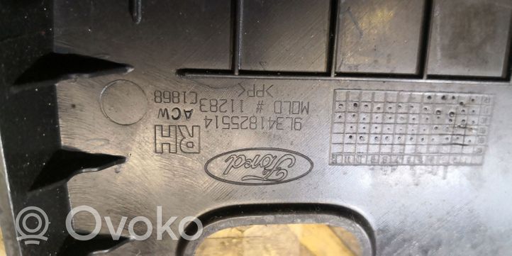 Ford F150 Rivestimento cintura di sicurezza 9L341825514
