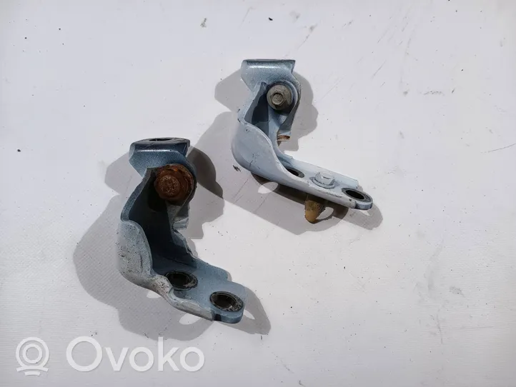 Ford F350 Front door hinge set 