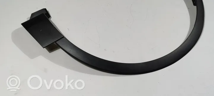 Ford Explorer Fender trim (molding) FB53-16A075-AE