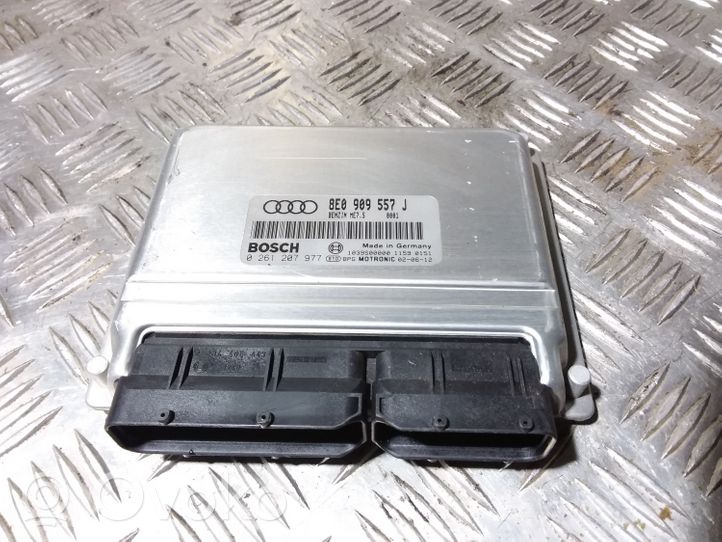 Audi A4 S4 B6 8E 8H Calculateur moteur ECU 8E0909557J