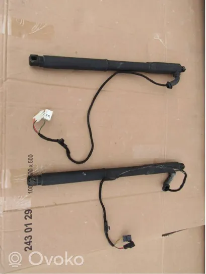 BMW X5 E70 Tailgate hydraulic set 8069024