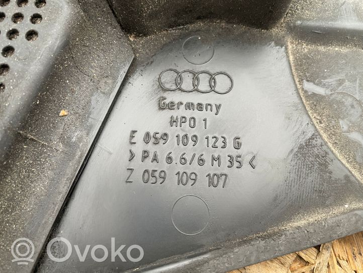 Audi A6 S6 C5 4B Osłona paska / łańcucha rozrządu 059109123G