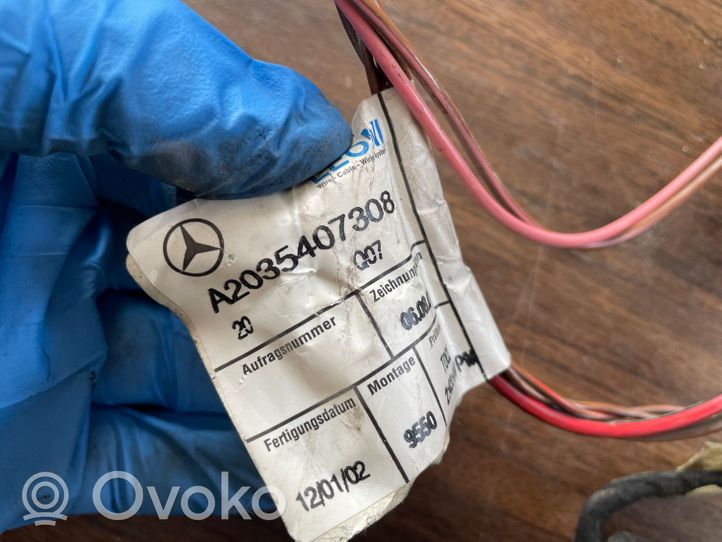 Mercedes-Benz C W203 Wiązka przewodów drzwi tylnych A2035407308