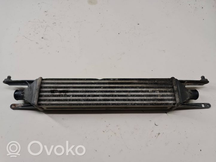 Fiat Grande Punto Välijäähdyttimen jäähdytin 866452000