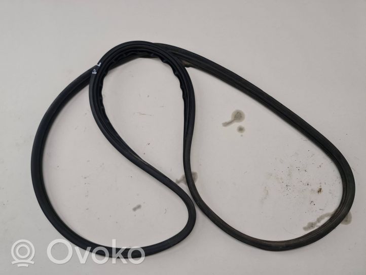 Renault Scenic II -  Grand scenic II Front door rubber seal 