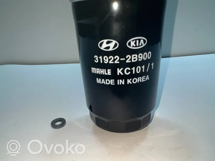 Hyundai Santa Fe Filtro carburante 319222BA00