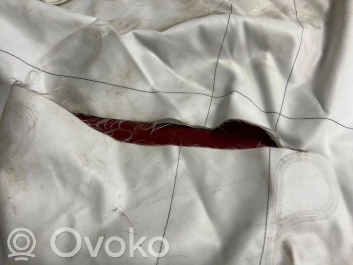 7417491 BMW X7 G07 Roof airbag, 30.00 € | RRR