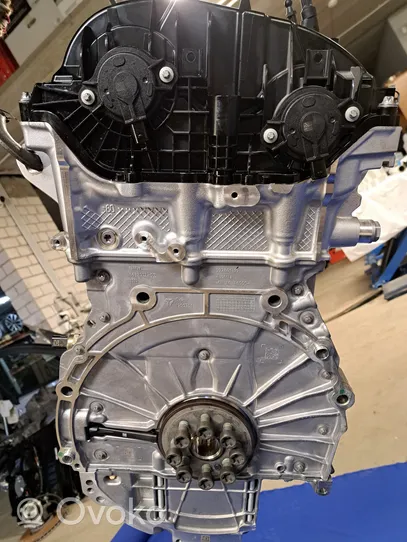 BMW X1 U11 Motor 7953430