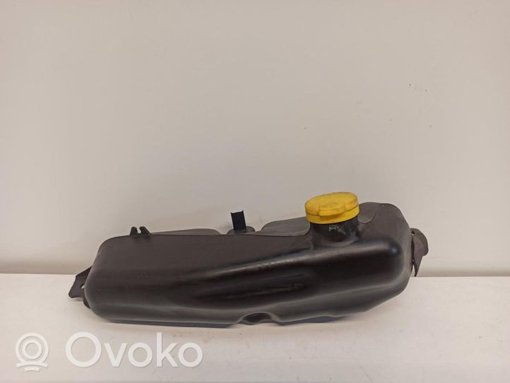 Dacia Duster Serbatoio/vaschetta liquido lavavetri parabrezza 289104897R