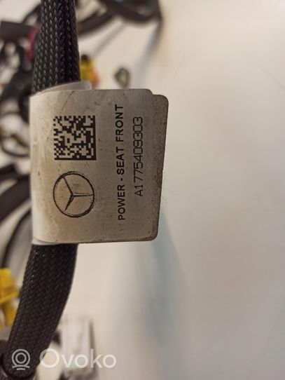 Mercedes-Benz B W247 Cablaggio/alloggiamento cablaggio della portiera anteriore A1775409303