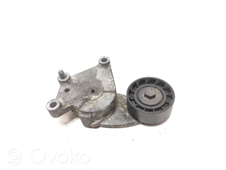 Volvo V60 Napinacz paska alternatora 846143