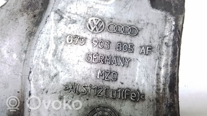 Audi Q7 4L Generatoriaus kronšteinas 079903805AF