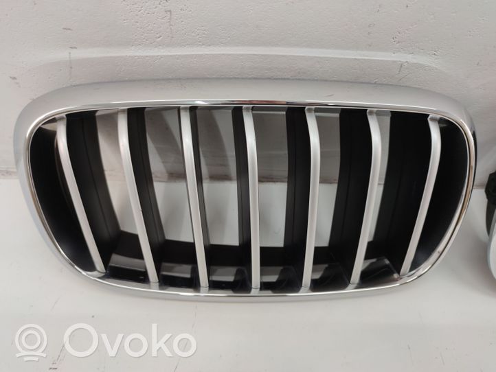 BMW X6 F16 Griglia superiore del radiatore paraurti anteriore 7316075