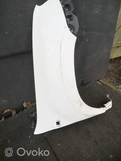 Dacia Duster Fender 