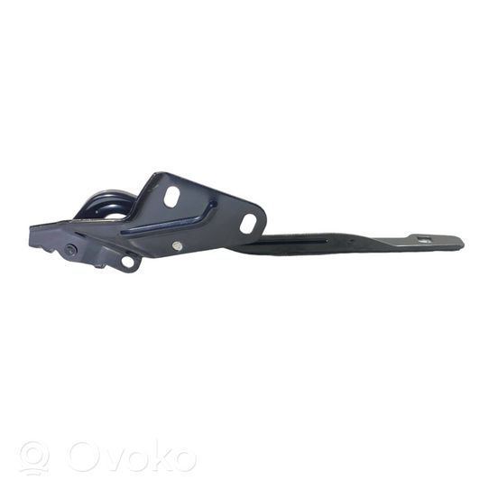 Dodge RAM Cerniere del vano motore/cofano DG014228AL