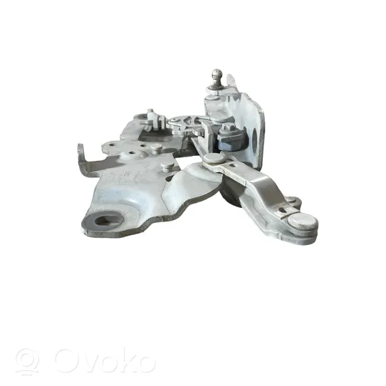 BMW 5 F10 F11 Cerniere del vano motore/cofano 7249888