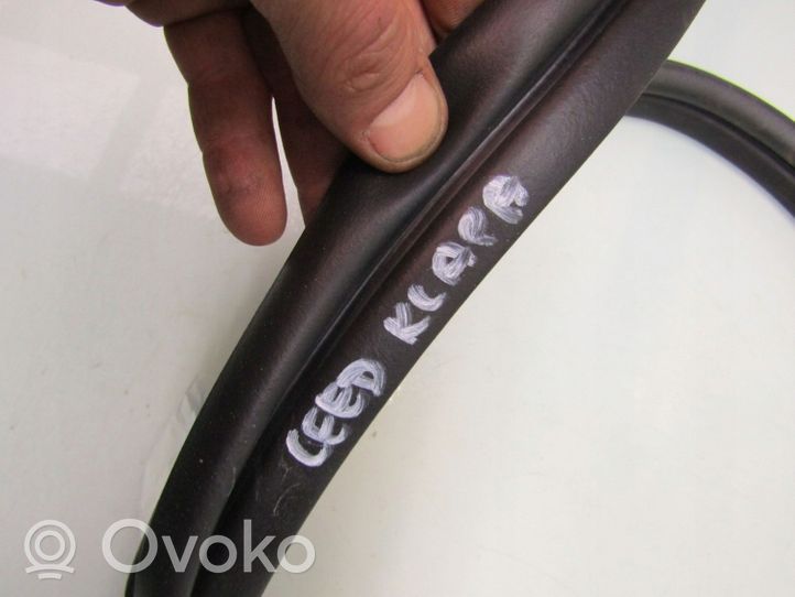 KIA Ceed Trunk rubber seal (body) 