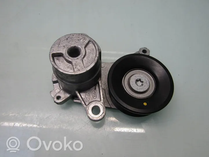 KIA Xceed Generator/alternator belt tensioner 252810700