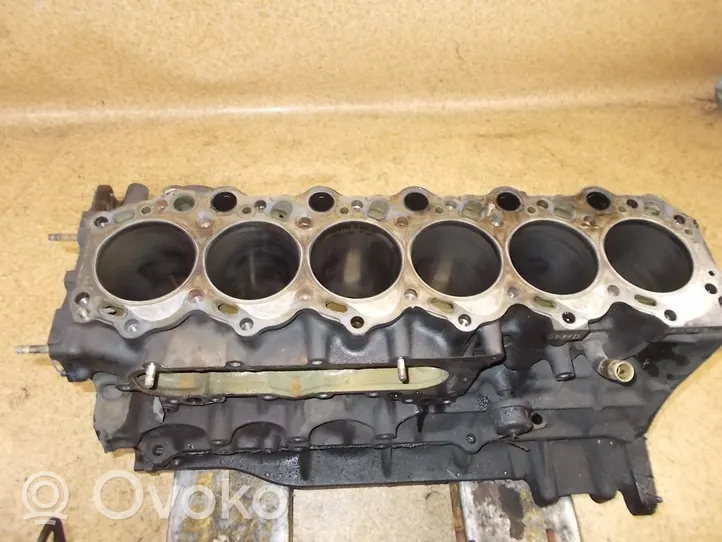 Toyota Land Cruiser (FJ80) Motorblock 1HDT