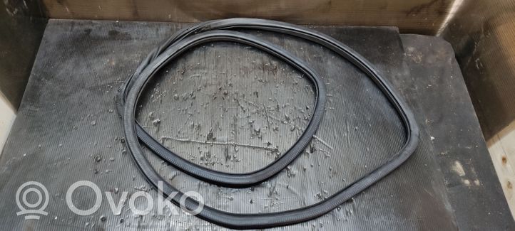 Volkswagen Golf Plus Rear door rubber seal (on body) 