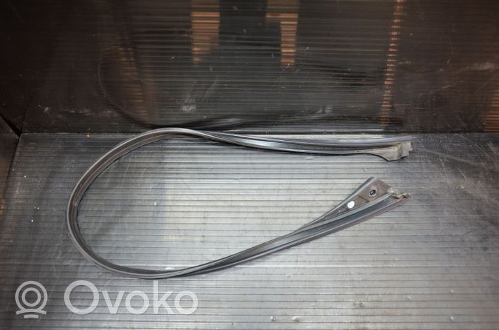 BMW X5 E70 Moulure de vitre de la porte avant 7120807