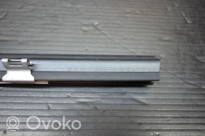 BMW X5 E70 Rivestimento del vetro della portiera 7136978